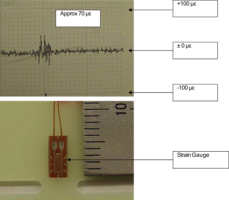 Sayaka Stress Level Test